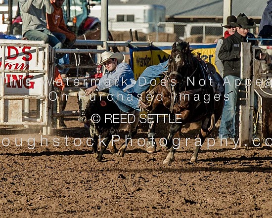 Steer Wrestling