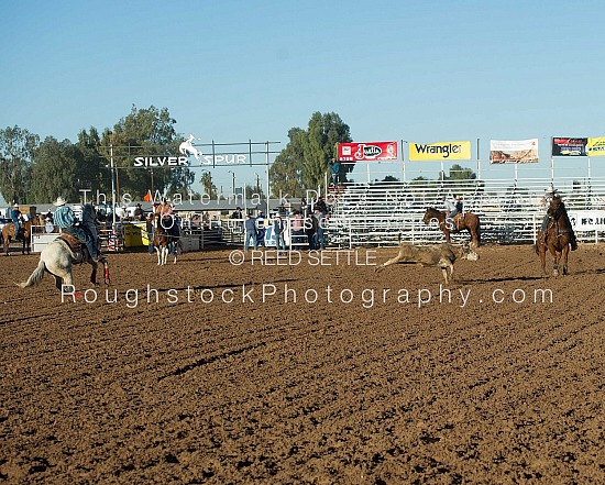 Team Roping