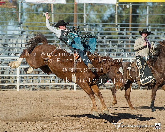 Bareback