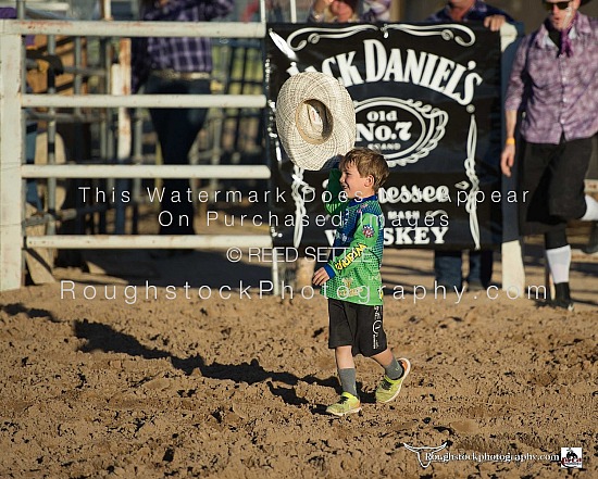 Mutton Bustin