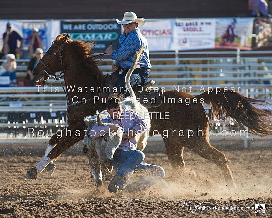 Steer Wrestling