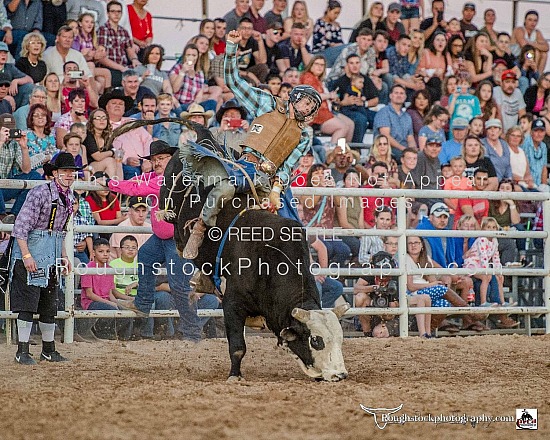 Bulls