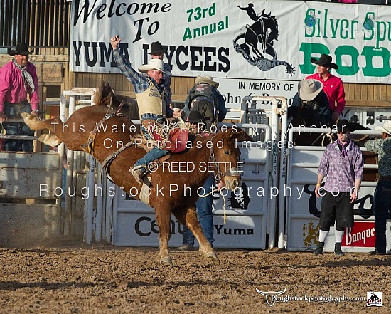 SaddleBronc