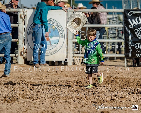 Mutton Bustin