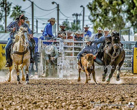 Steer Wrestling