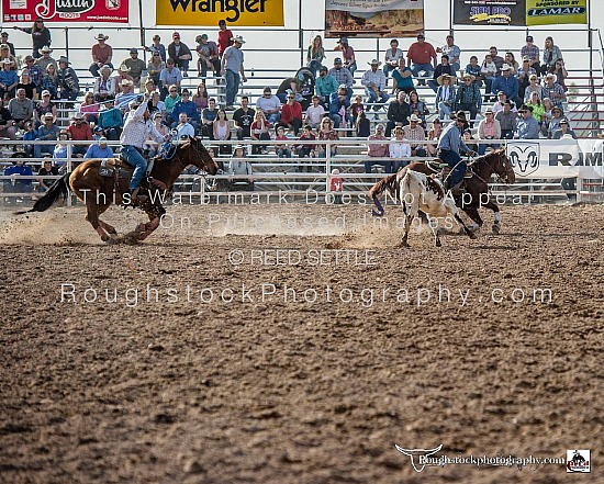 Team Roping