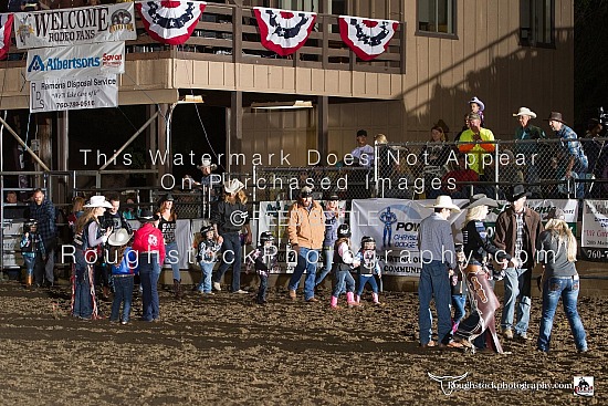 Mutton Bustin