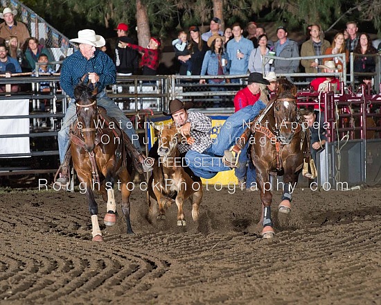 Steer Wrestling