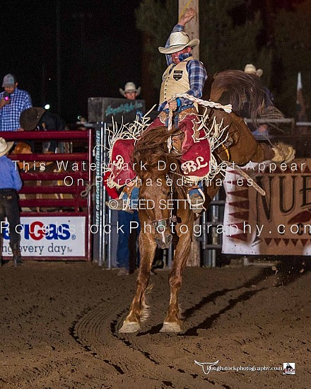 SaddleBronc