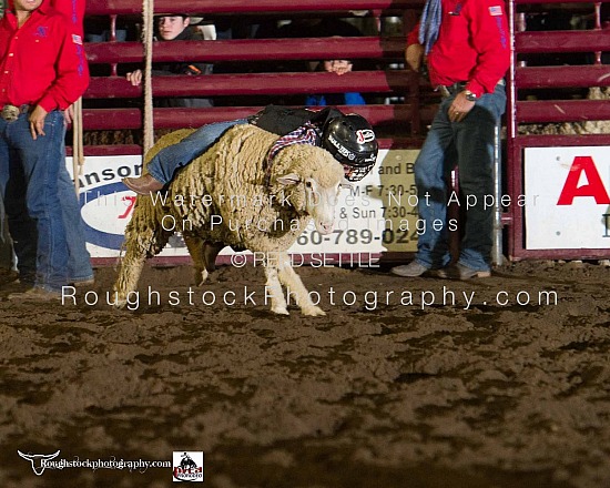 Mutton Bustin