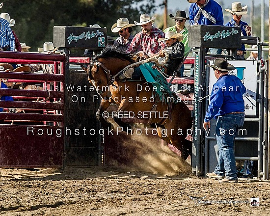 SaddleBronc