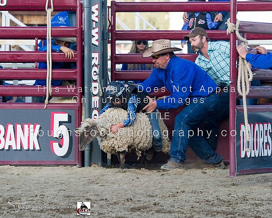 Mutton Bustin