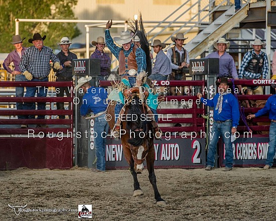 SaddleBronc