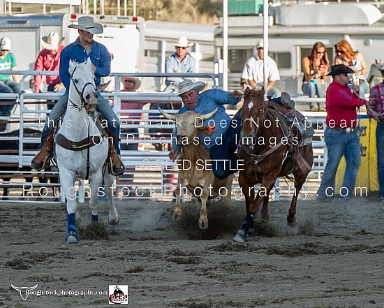 Steer Wrestling