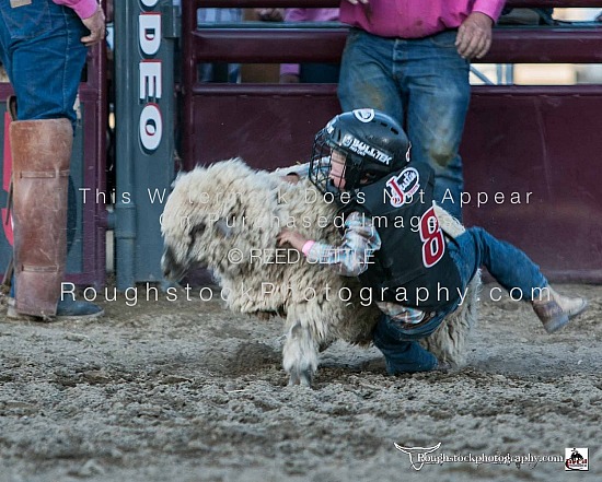 Mutton Bustin