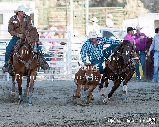 Steer Wrestling