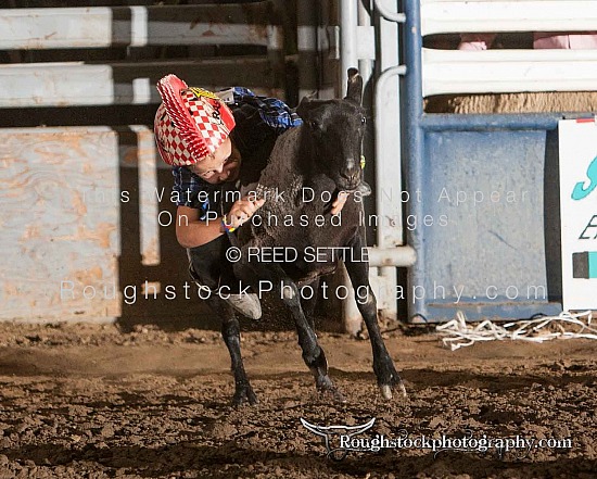 Mutton Bustin