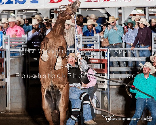 Xtreme Bronc Riding