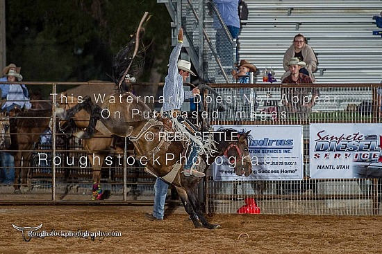 Saddle Bronc