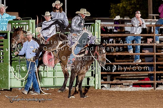 Saddle Bronc