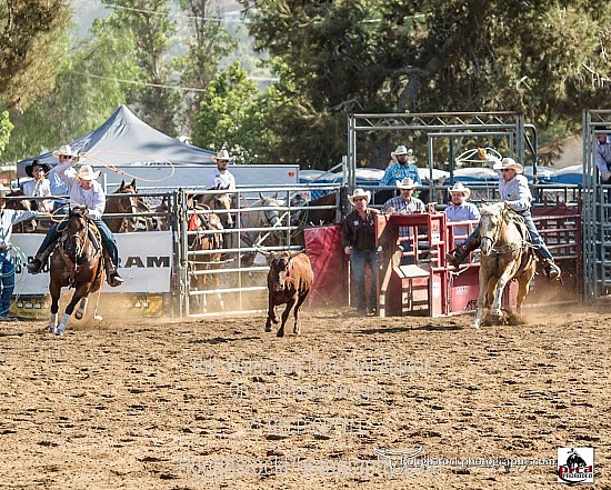 Team Roping