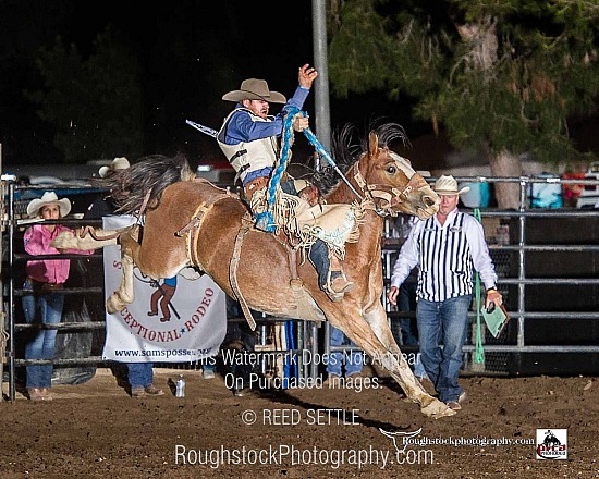 SaddleBronc