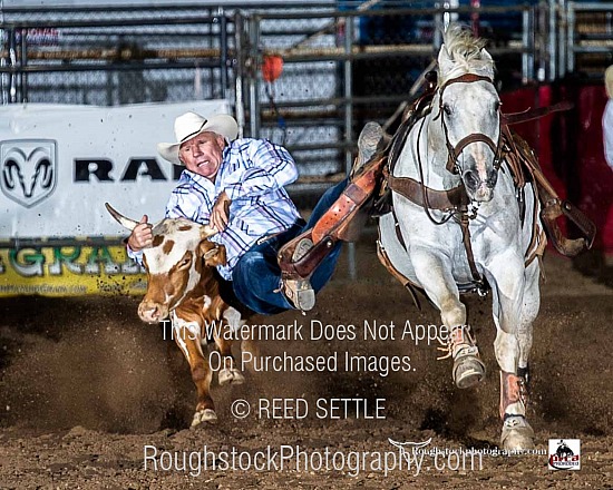 Steer Wrestling