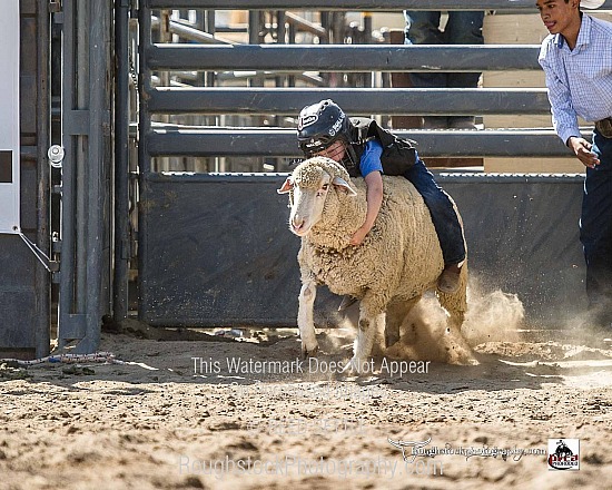 Mutton Bustin