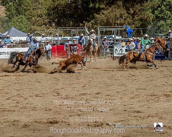 Team Roping