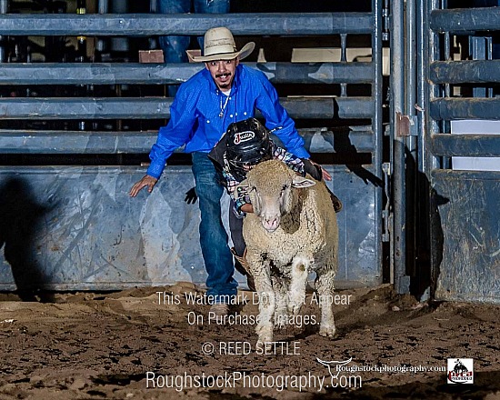 Mutton Bustin