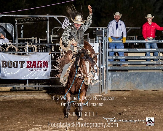 Saddle Bronc