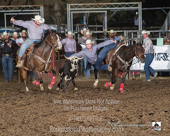 Steer Wrestling