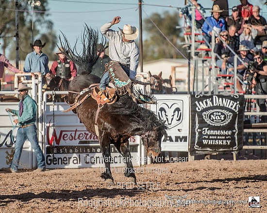 SaddleBronc