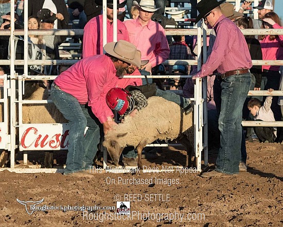 Mutton Bustin