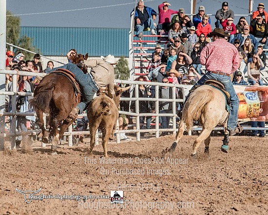 Steer Wrestling