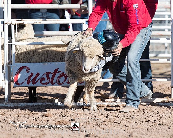 Mutton Bustin