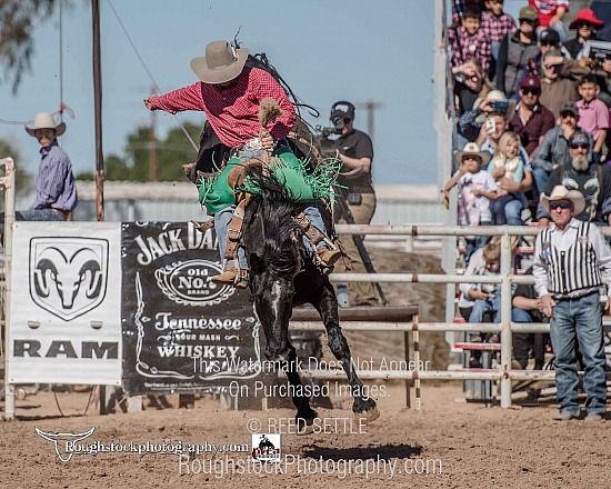 Saddle Bronc