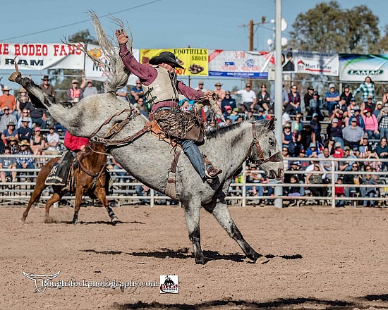 Roughstock