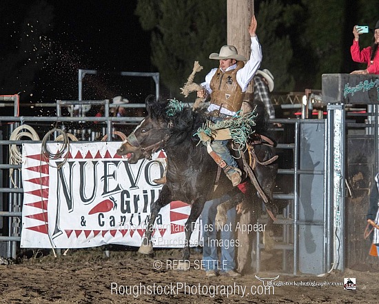 SaddleBronc