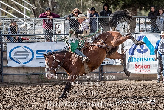 SaddleBronc