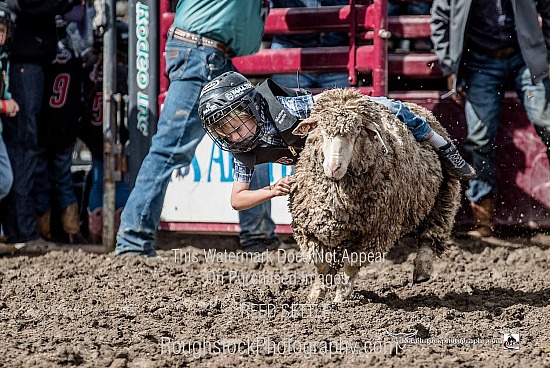 Mutton Bustin