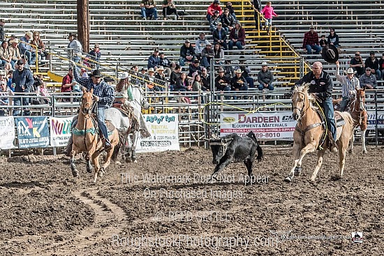 Team Roping