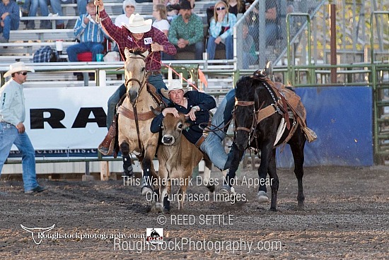 Steer Wrestling