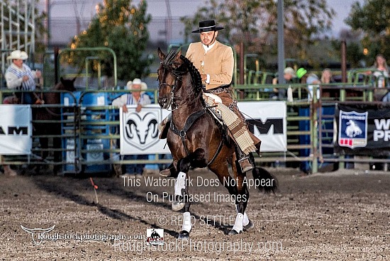 Felix Santana's Andalusian Dancing Horse