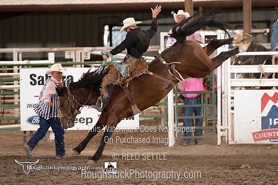 SaddleBronc