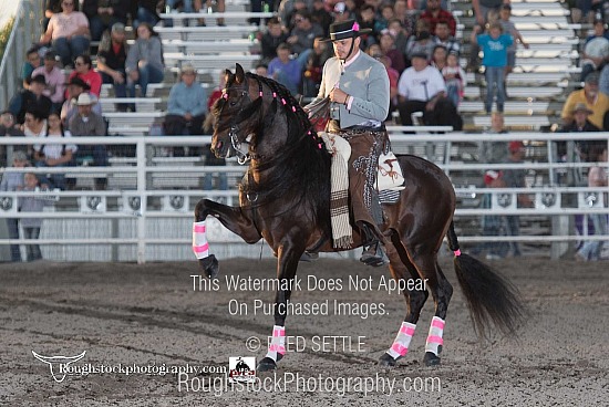 Felix Santana's Andalusian Dancing Horse