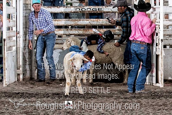 Mutton Bustin