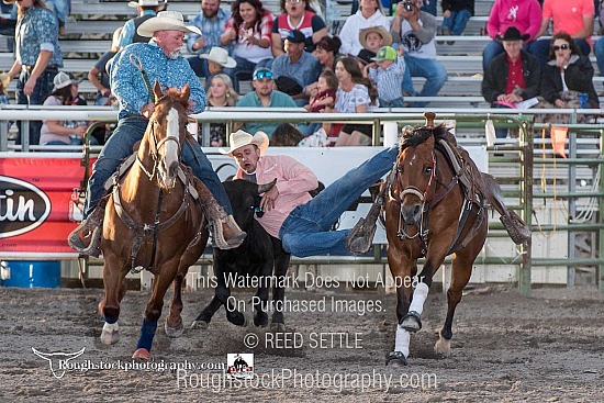 Steer Wrestling