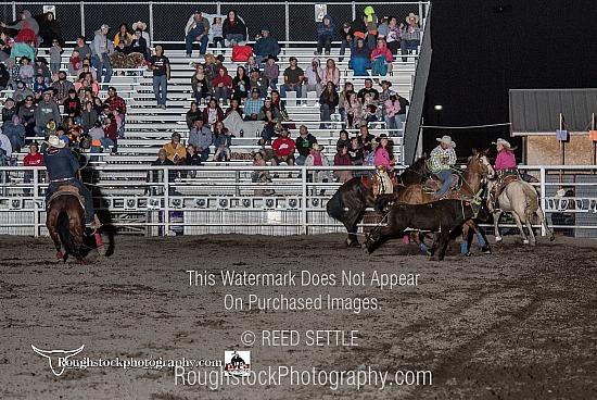 Team Roping