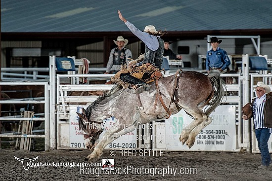 SaddleBronc